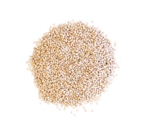 Quinoa blanc BIO en sachet 5 kg PRIMEAL | Grossiste alimentaire | EpiSaveurs