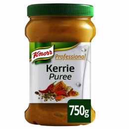 Purée de curry en pot 750 g KNORR PROFESSIONAL | Grossiste alimentaire | EpiSaveurs