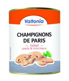 Champignons de Paris hôtel en boîte 4/4 VALTONIA | Grossiste alimentaire | EpiSaveurs