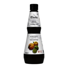 Assaisonnement agrumes liquide en bouteille 400 ml KNORR | EpiSaveurs